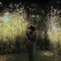 Immersive Delights at Arte M: A Serene Exploration