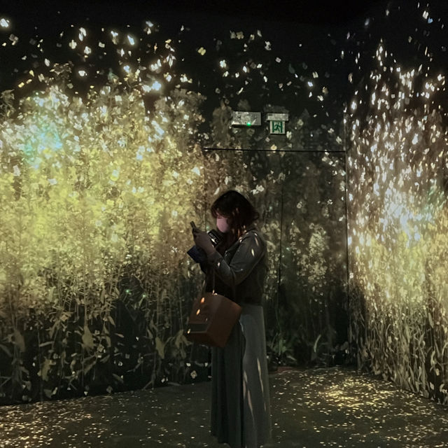 Immersive Delights at Arte M: A Serene Exploration