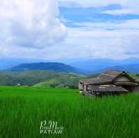 นาขั้นบันได บ้านป่างเปียง เชียงใหม่