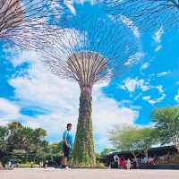 Gardens by the Bay 