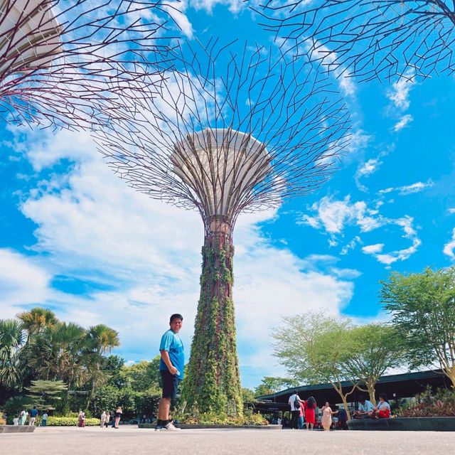 Gardens by the Bay 