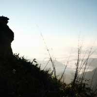 ภูชี้ฟ้า แหล่งท่องเที่ยวธรรมชาติยอดฮิตในเชียงราย