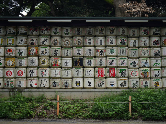 【東京観光】東京の都会に広がる癒しの森！明治神宮を御参拝⛩️