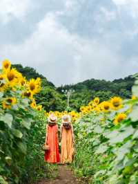 【福島】夏の福島で巡りたいスポット6選