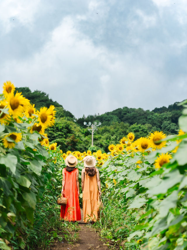 【福島】夏の福島で巡りたいスポット6選