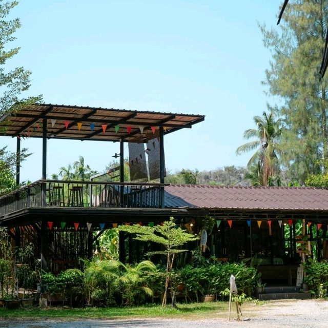ไปเที่ยวอุโมงค์ต้นตาลที่ จ. เพชรบุรีกัน 🌴🌴