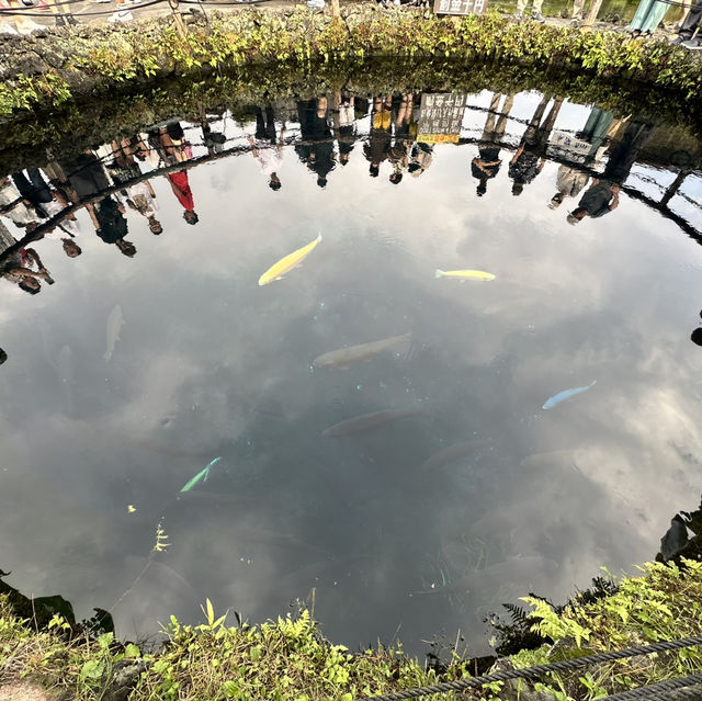 東京郊區自然美景：忍野八海