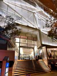 Enchanting Nights at Raffles Place