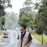 อุทยานแห่งชาติเขาใหญ่ | KHAO YAI National Park 