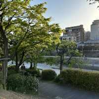 인생 최고의 여행지, 세번 또간곳 바로 KYOTO