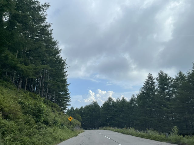 チェリーパークラインで高峰高原をドライブ@長野🛣️