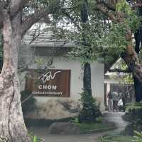 ร้านอาหาร บรรยาศร่มรื่นในเชียงใหม่