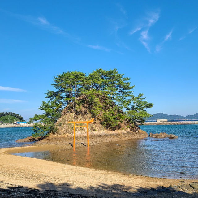 福岡 大島