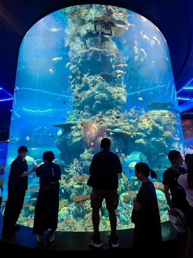 Under the Sea at Sentosa