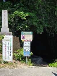 【高知】伊尾木洞って知ってる？