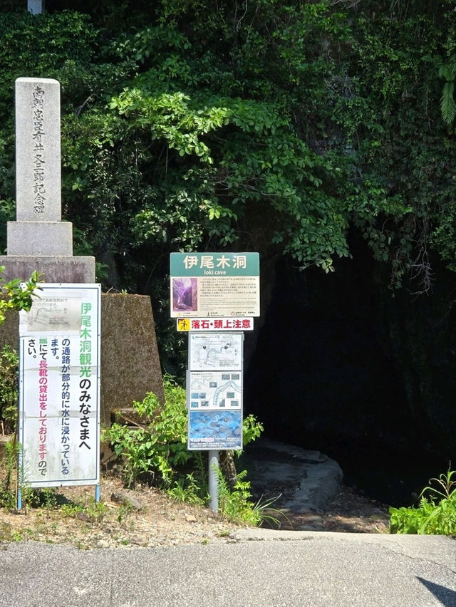 【高知】伊尾木洞って知ってる？