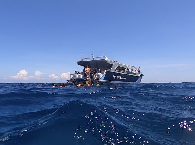 ดำน้ำดูปะการังและฝูงปลาที่เกาะสิมิลัน🐠🌊