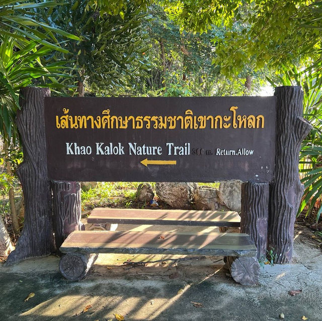 ชายหาดสวย บรรยกาศเงียบสงบ 🏖️ 