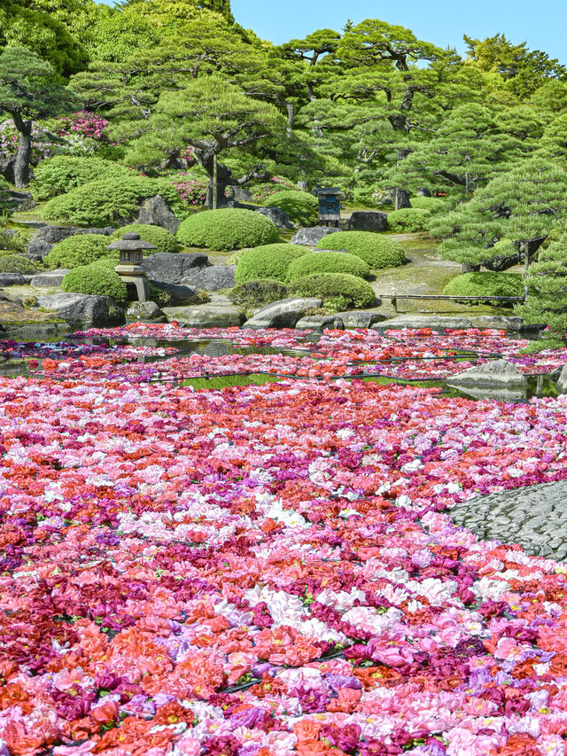 【期間限定】感動の絶景広がる🌼 欲張りに2種類たのしむのがおすすめ🫶🏻🌸✨ 