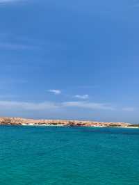 Turtles & Turquoise Waters: The ultimate Al Dimaniyat Island Adventure