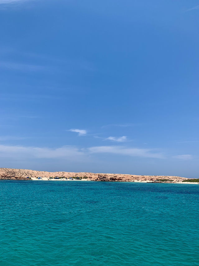 Turtles & Turquoise Waters: The ultimate Al Dimaniyat Island Adventure