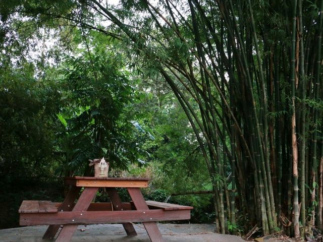 Padee in the wild 