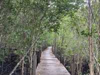 ทุ่งโปรงทอง