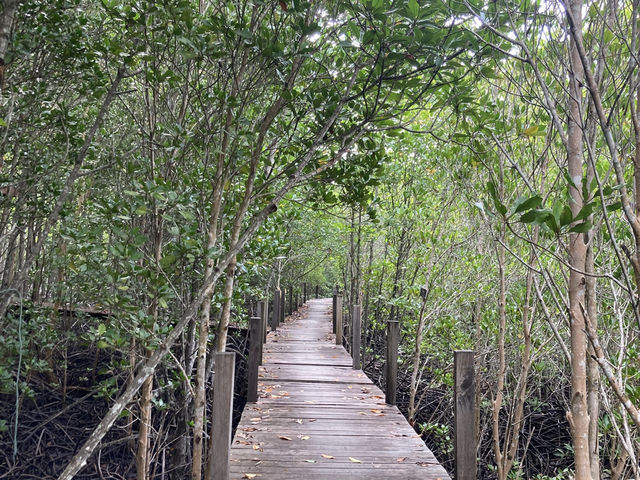 ทุ่งโปรงทอง