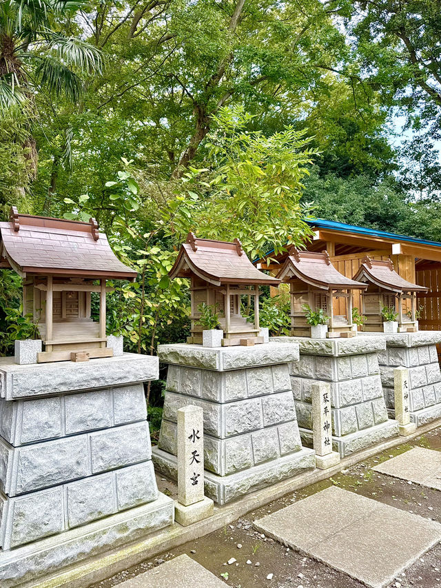 【埼玉県】花手水から癒しチャージ！