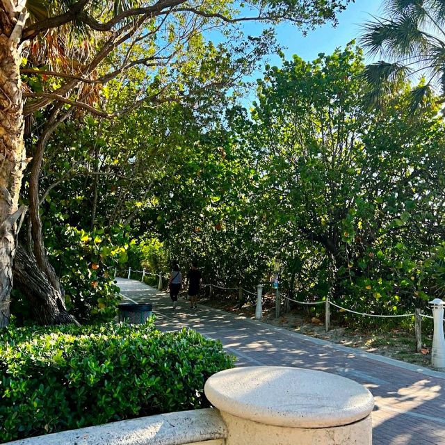 MESMERISING MIAMI BEACH ⛱️.