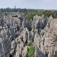 Amazing Stone Forest, Kunming-China!