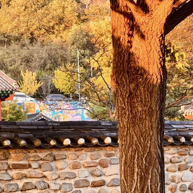 Jeonju Hyanggyo: A Serene Stroll Among Ginkgo Trees