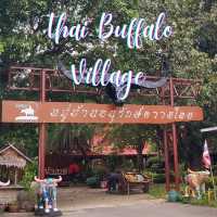 Thai Buffalo Village สุพรรณบุรี