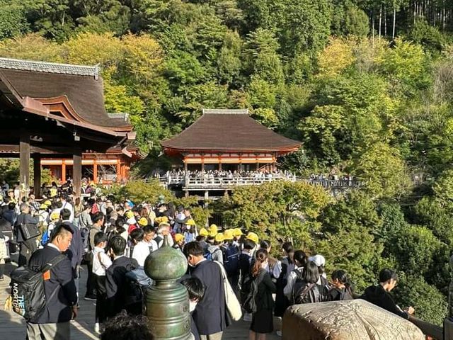 ขอพรวัดวัดคิโยมิซึ วัดดังประจำเมืองเกียวโต