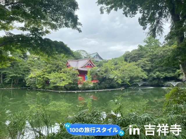 [吉祥寺🇯🇵] 井之頭公園🦢🌳