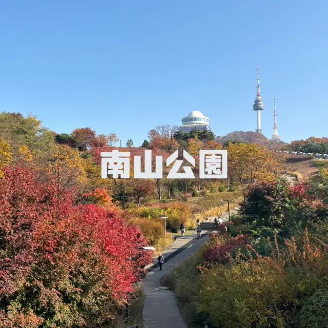 [韓國] 南山公園，著名的紅葉觀賞勝地