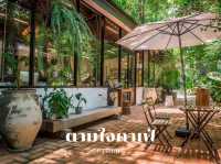คาเฟ่ในสวนกลางเมืองกรุง