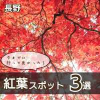 📍長野　紅葉スポット３選❗️
