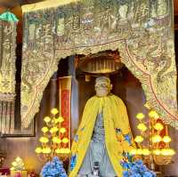 Echoes of Wisdom and Harmony