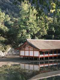 Historical Moment, travelling back in time - A day trip to Hiroshima
