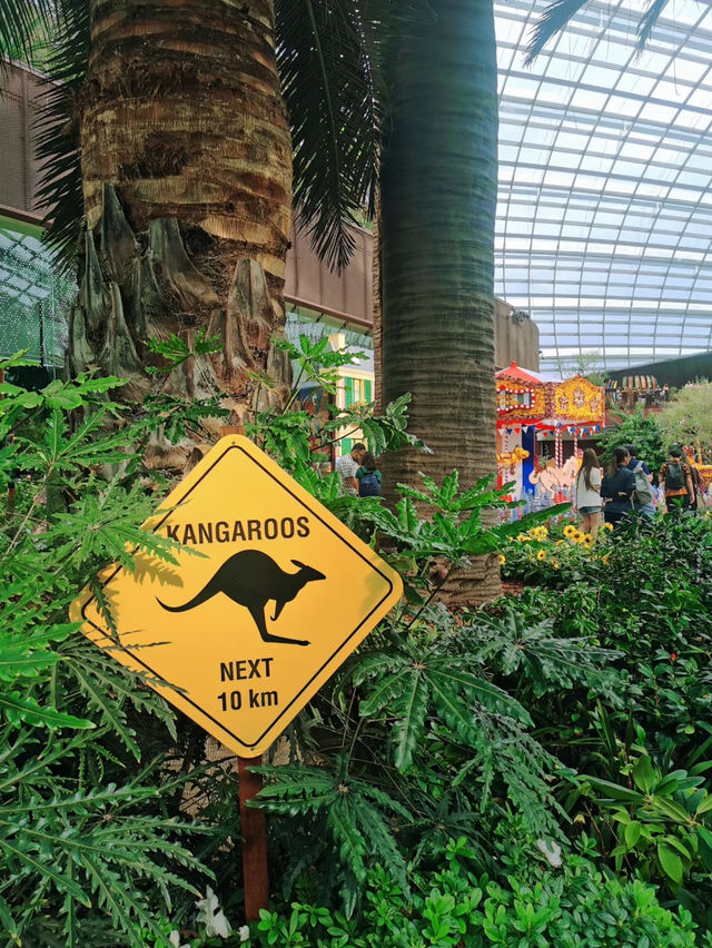 An awesome visit to garden by the bay 💐