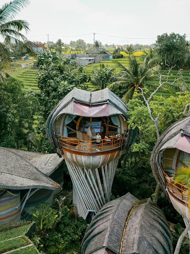 峇里 | 最具特色的Eco Resort 猶如進入阿凡達世界🙈