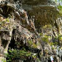 @ WESTCAVE OUTDOOR DISCOVERY CENTER.