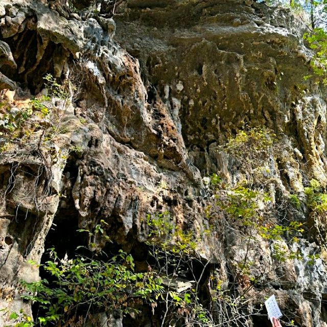 @ WESTCAVE OUTDOOR DISCOVERY CENTER.