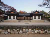 The magnificient autumn foliage at Gilsangsa