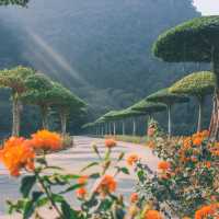 Life in Ninh Binh City: A Gateway to Nature and Tradition