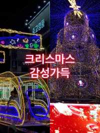 크리스마스 트리를 볼 수 있는 부산 여행지!🎄