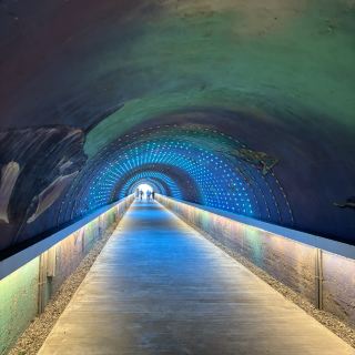Kaohsiung Starry Sky Tunnel