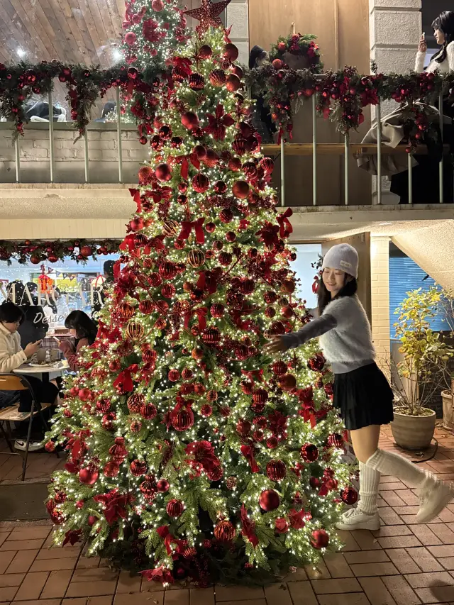 Yeonnam-dong Instagram Hot Spot, Christmas Atmosphere Cafe 'Margaret Yeonnam'