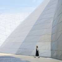 Museum of Contemporary Art & Planning Exhibition